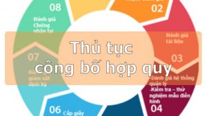 Thu Tuc Cong Bo Hop Quy Tai Viet Nam