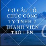 Co Cau To Chuc Quan Ly Cong Ty Tnhh Hai Thanh Vien Tro Len