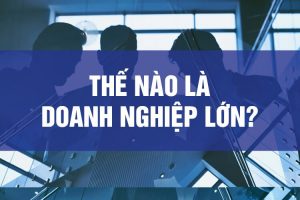 The Nao La Doanh Nghiep Lon
