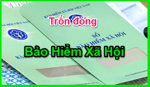 Cong Ty Khong Dong Bao Hiem Cho Nhan Vien Phai Lam Sao