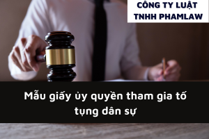 Mau Giay Uy Quyen Tham Gia To Tung Dan Su