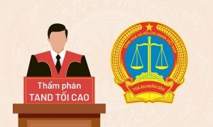 Chuc Nang Nhiem Vu Quyen Han Cua Tham Phan